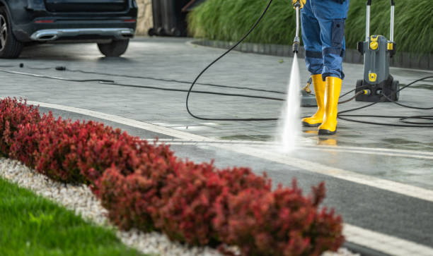 Best Sidewalk and Walkway Cleaning  in Loch Lomond, VA